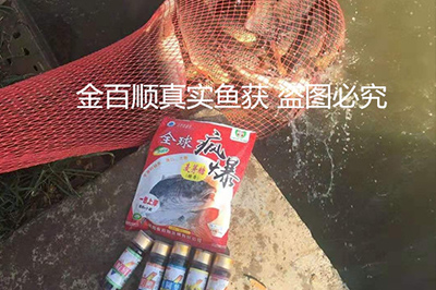 饵料和小药搭配使用案例