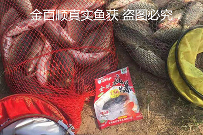 全球疯爆真实鱼获
